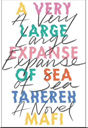 Book Review: A Very Large Expanse of&nbsp;Sea