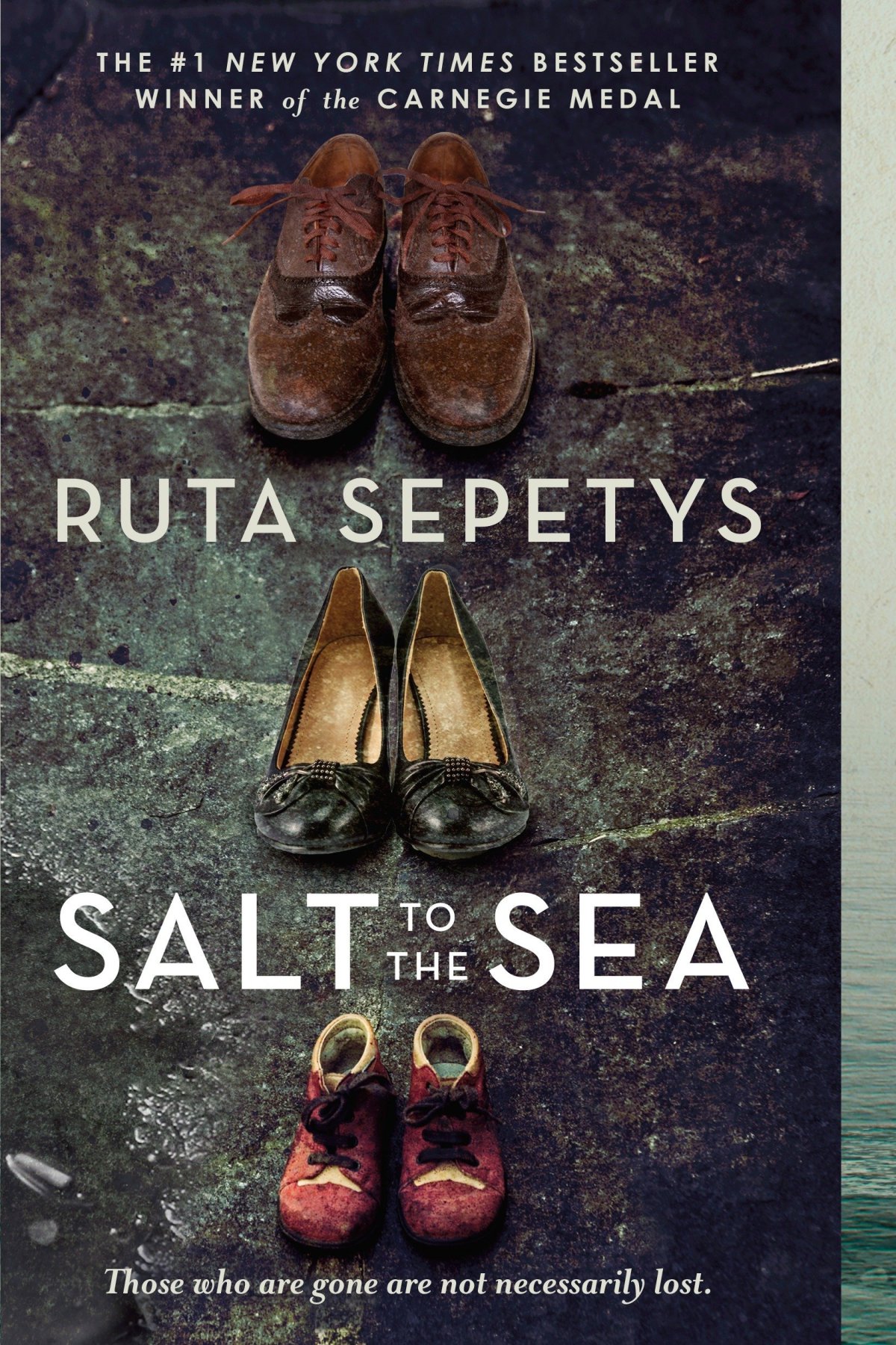Book Review: Salt to the&nbsp;Sea